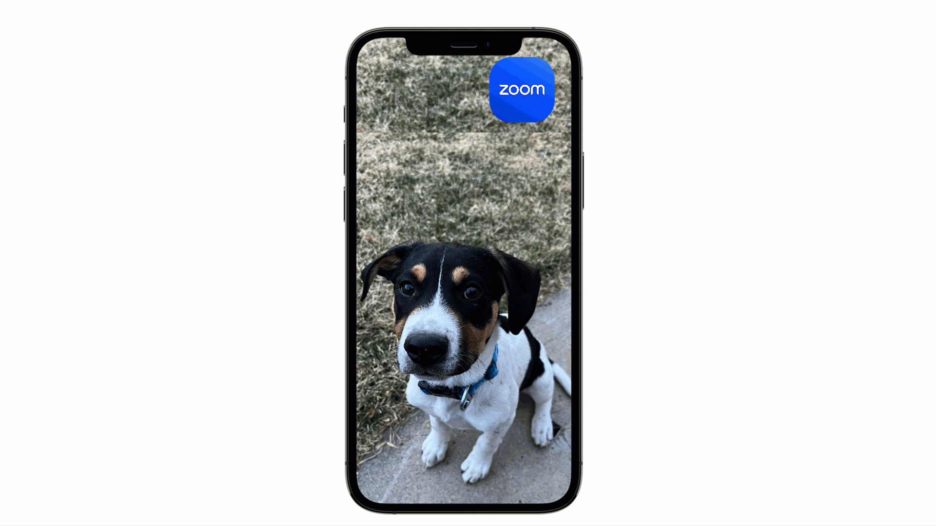 zoom_mobile.gif