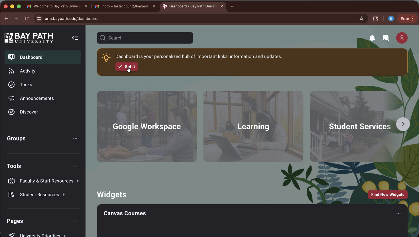 Snapshot - logging into portal (0 17.68).png