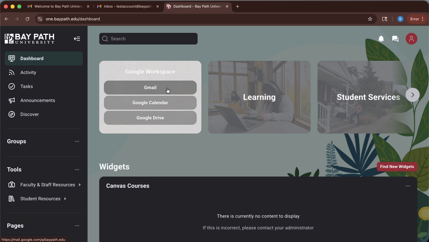 Snapshot - logging into portal (0 20.80).png